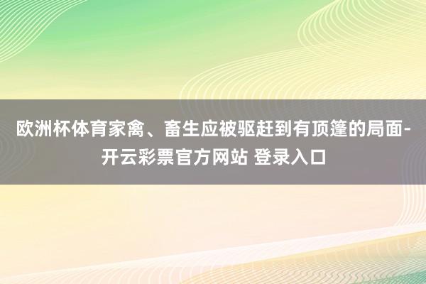 欧洲杯体育家禽、畜生应被驱赶到有顶篷的局面-开云彩票官方网站 登录入口