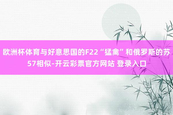 欧洲杯体育与好意思国的F22“猛禽”和俄罗斯的苏57相似-开云彩票官方网站 登录入口