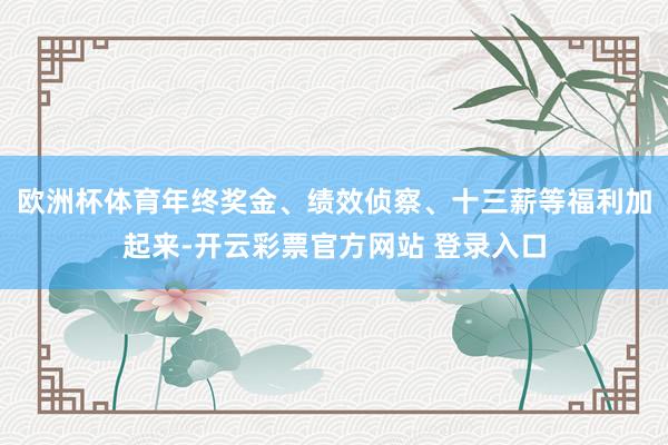 欧洲杯体育年终奖金、绩效侦察、十三薪等福利加起来-开云彩票官方网站 登录入口