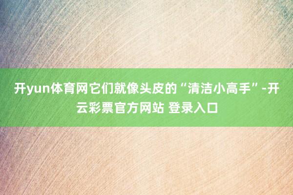 开yun体育网它们就像头皮的“清洁小高手”-开云彩票官方网站 登录入口