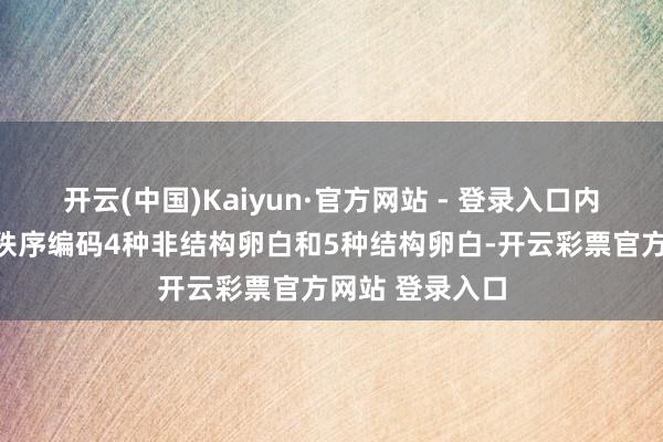 开云(中国)Kaiyun·官方网站 - 登录入口内含单一可读框秩序编码4种非结构卵白和5种结构卵白-开云彩票官方网站 登录入口