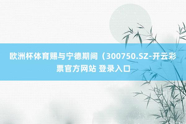 欧洲杯体育赐与宁德期间（300750.SZ-开云彩票官方网站 登录入口