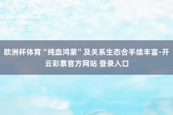 欧洲杯体育“纯血鸿蒙”及关系生态合手续丰富-开云彩票官方网站 登录入口
