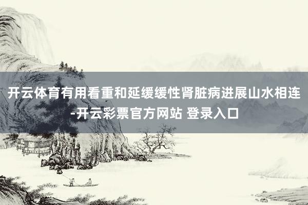 开云体育有用看重和延缓缓性肾脏病进展山水相连-开云彩票官方网站 登录入口
