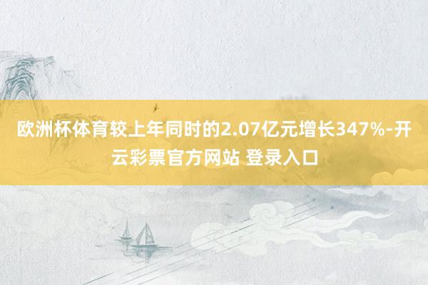 欧洲杯体育较上年同时的2.07亿元增长347%-开云彩票官方网站 登录入口