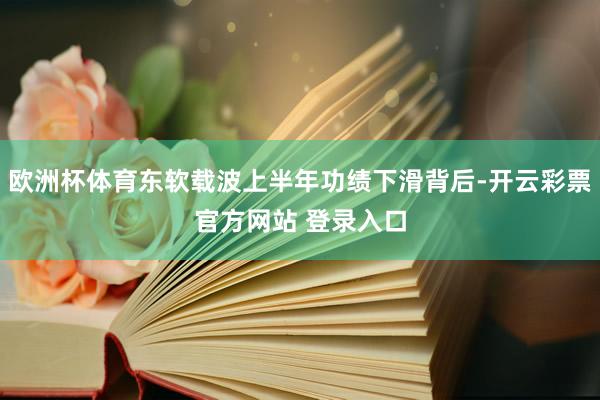 欧洲杯体育东软载波上半年功绩下滑背后-开云彩票官方网站 登录入口