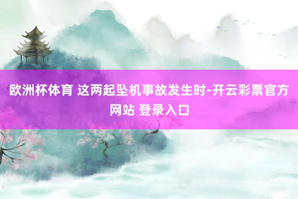 欧洲杯体育 这两起坠机事故发生时-开云彩票官方网站 登录入口