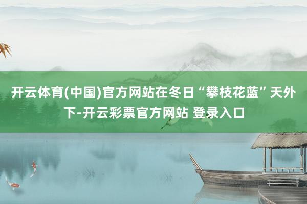 开云体育(中国)官方网站在冬日“攀枝花蓝”天外下-开云彩票官方网站 登录入口